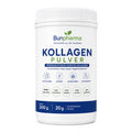 Kollagen Pulver 300g